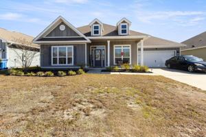 featured image of 321 Allie Way