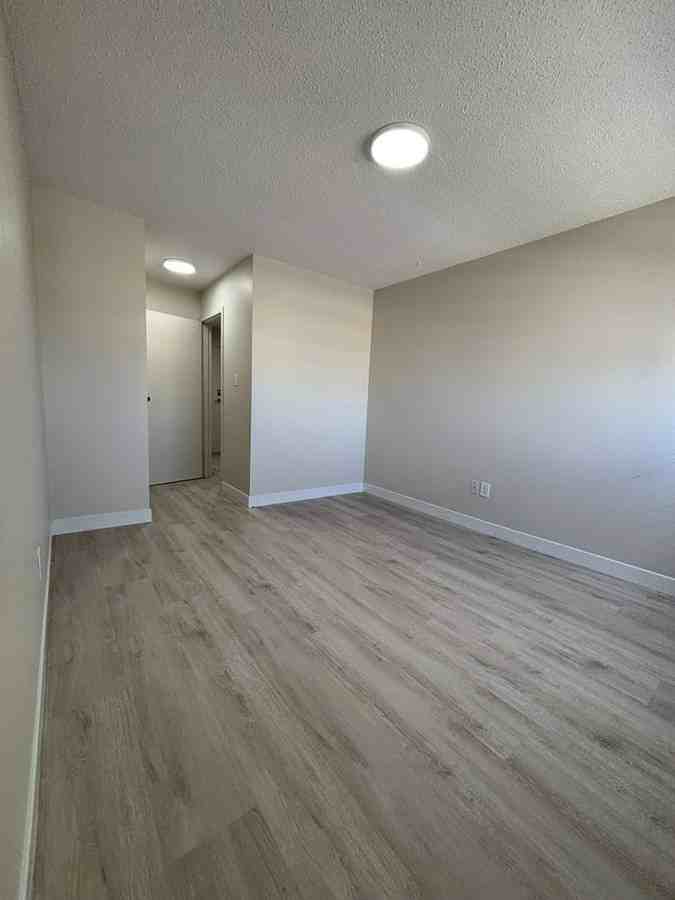 5545 15B Avenue #309 - Photo 7 of 15