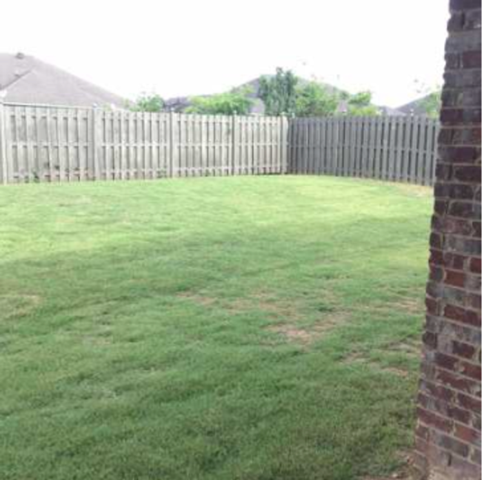 253 Brighton Park Way - Photo 2 of 22