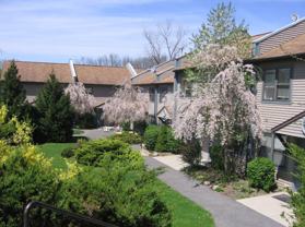 Forest Edge Townhomes - Photo 1 of 1