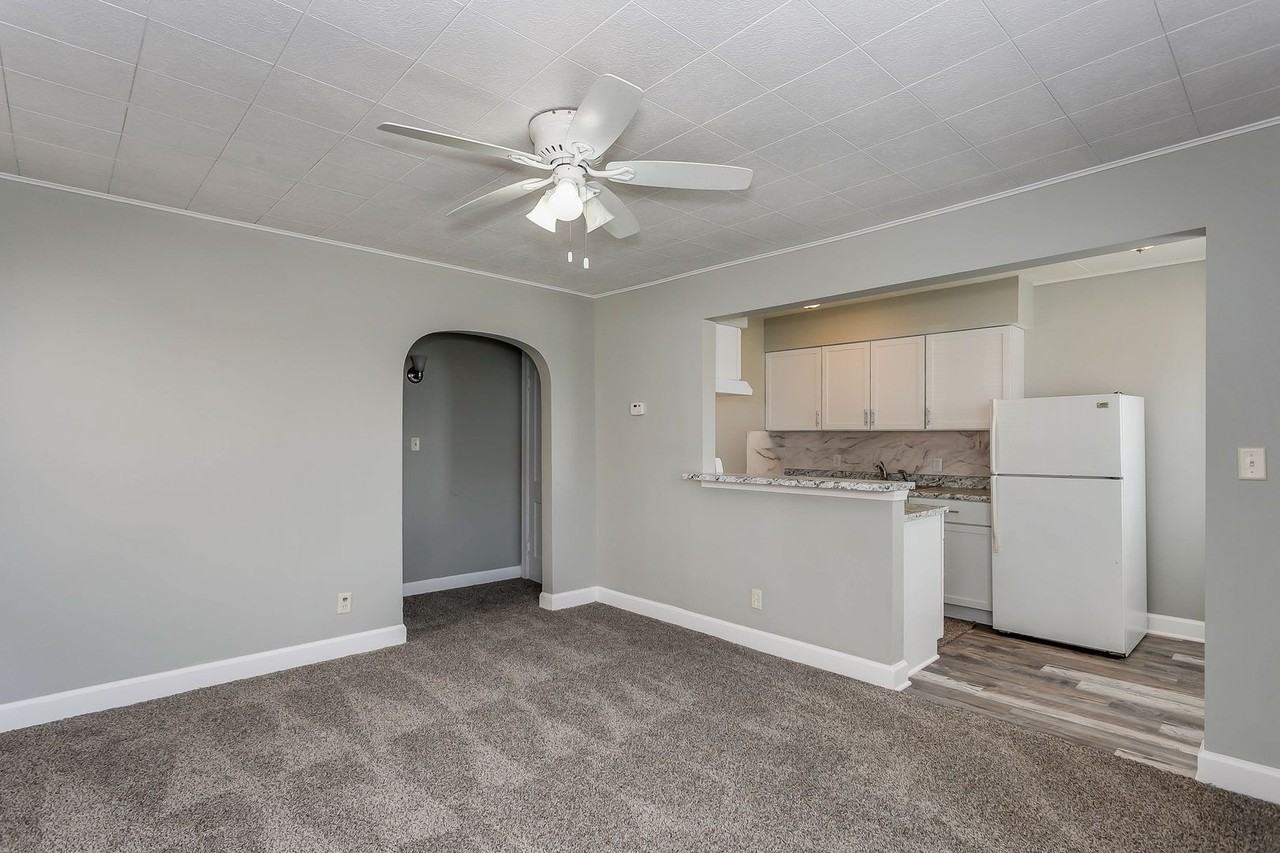 LVL Apartments - Photo 3 of 19