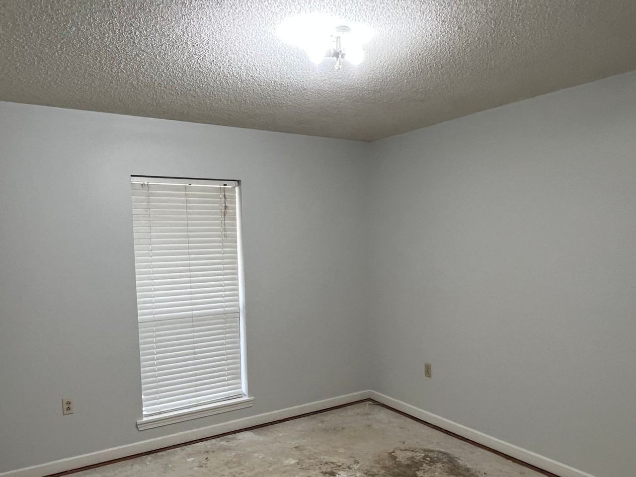 1257 Briarridge Dr - Photo 7 of 11