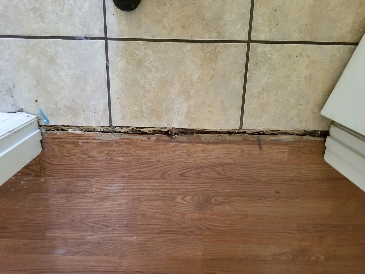 406 Montclair Blvd - Photo 5 of 44