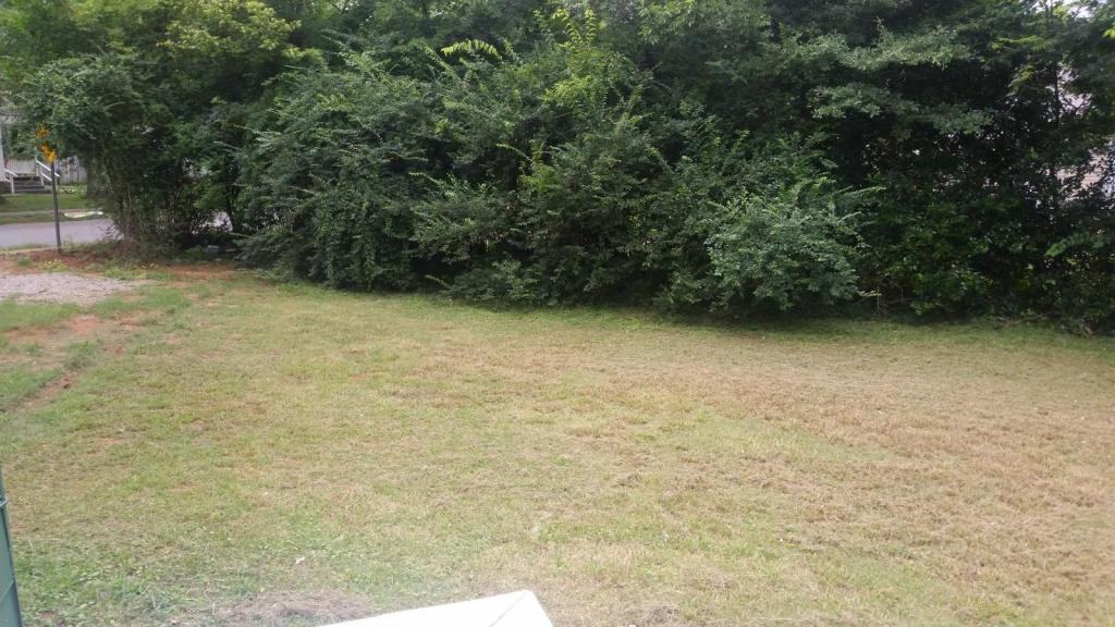 3016 Holmes Ave Nw - Photo 4 of 38