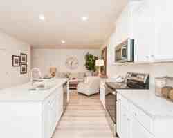 featured image of 3376 Stella Court