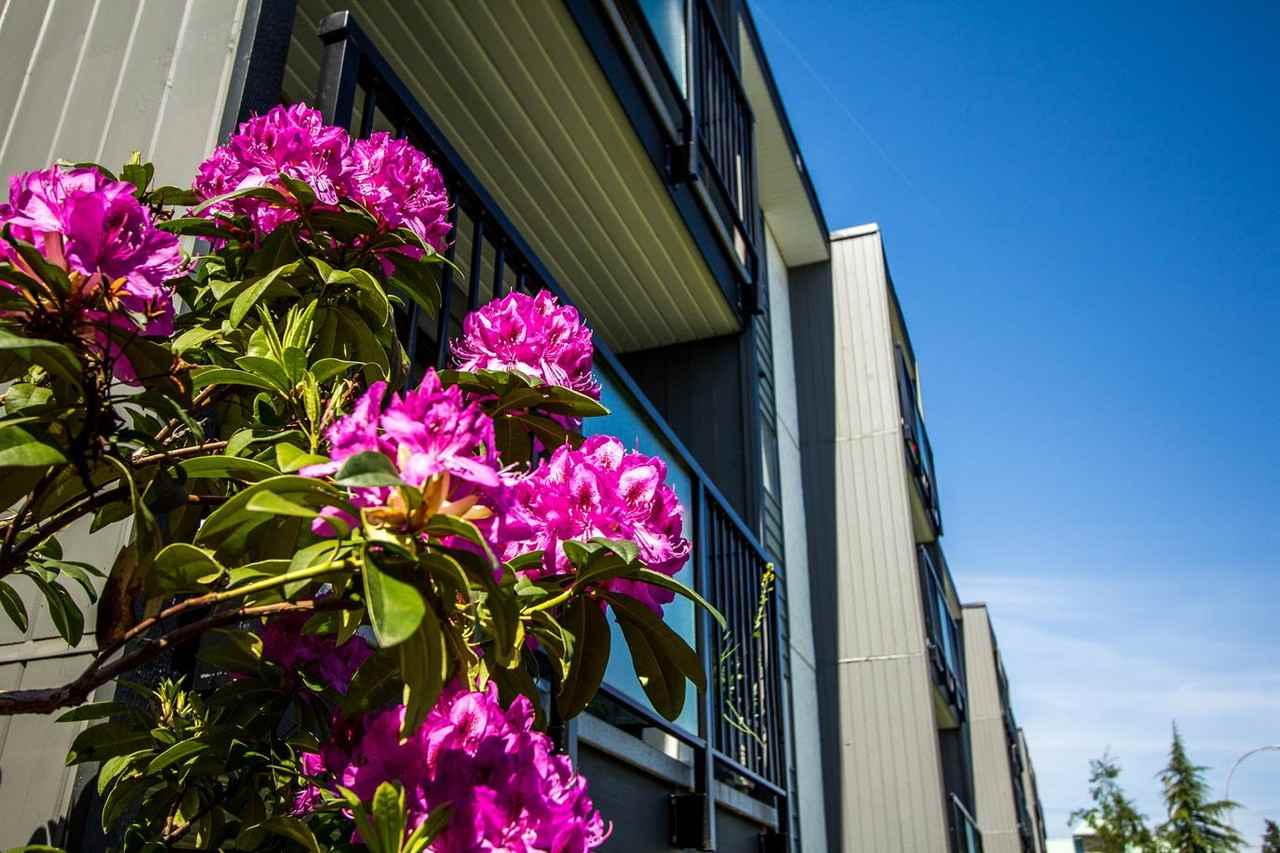 Barons Villa Apartments - Photo 4 of 4