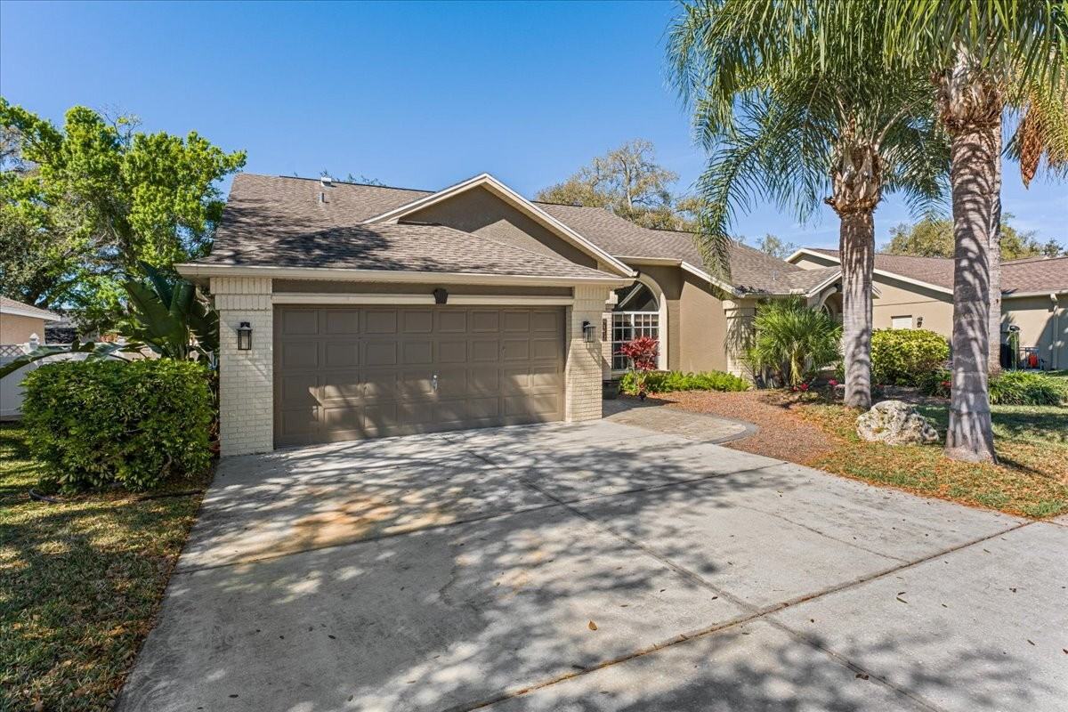 9112 Calle Alta - Photo 3 of 50