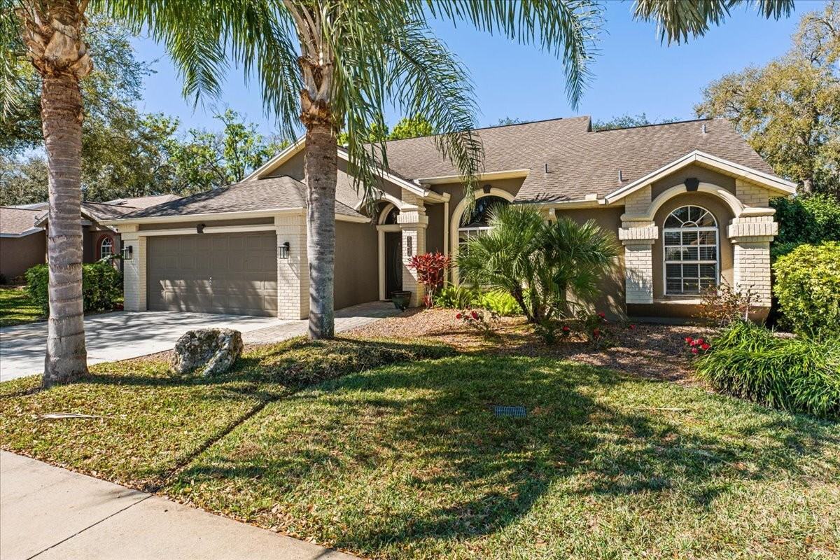 9112 Calle Alta - Photo 4 of 50