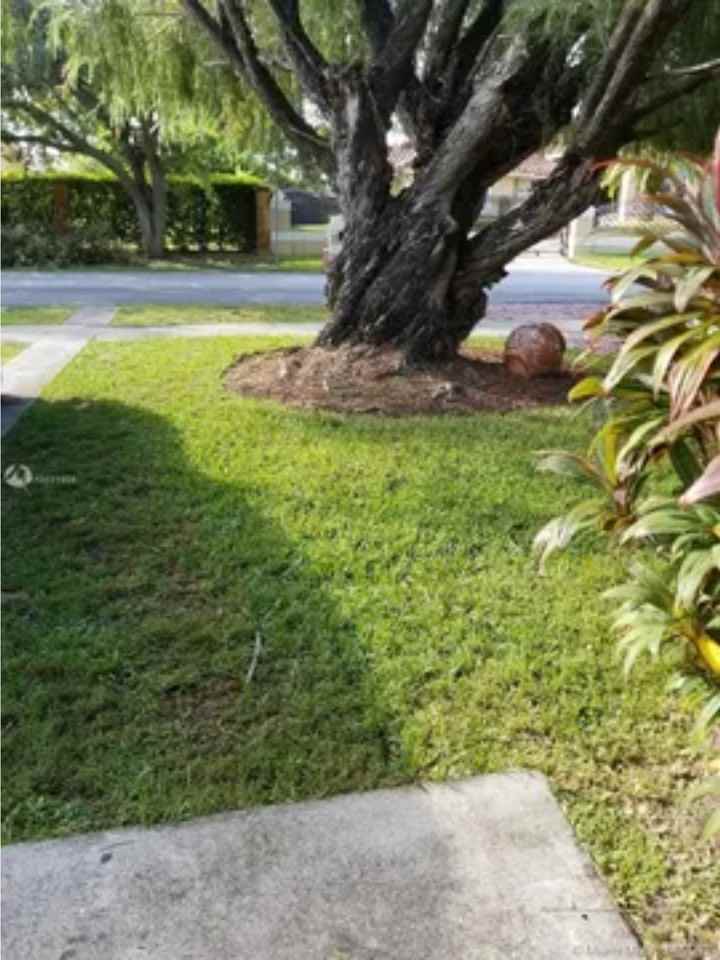 9421 Sw 66th St #1-1SIDEAPT - Photo 2 of 7