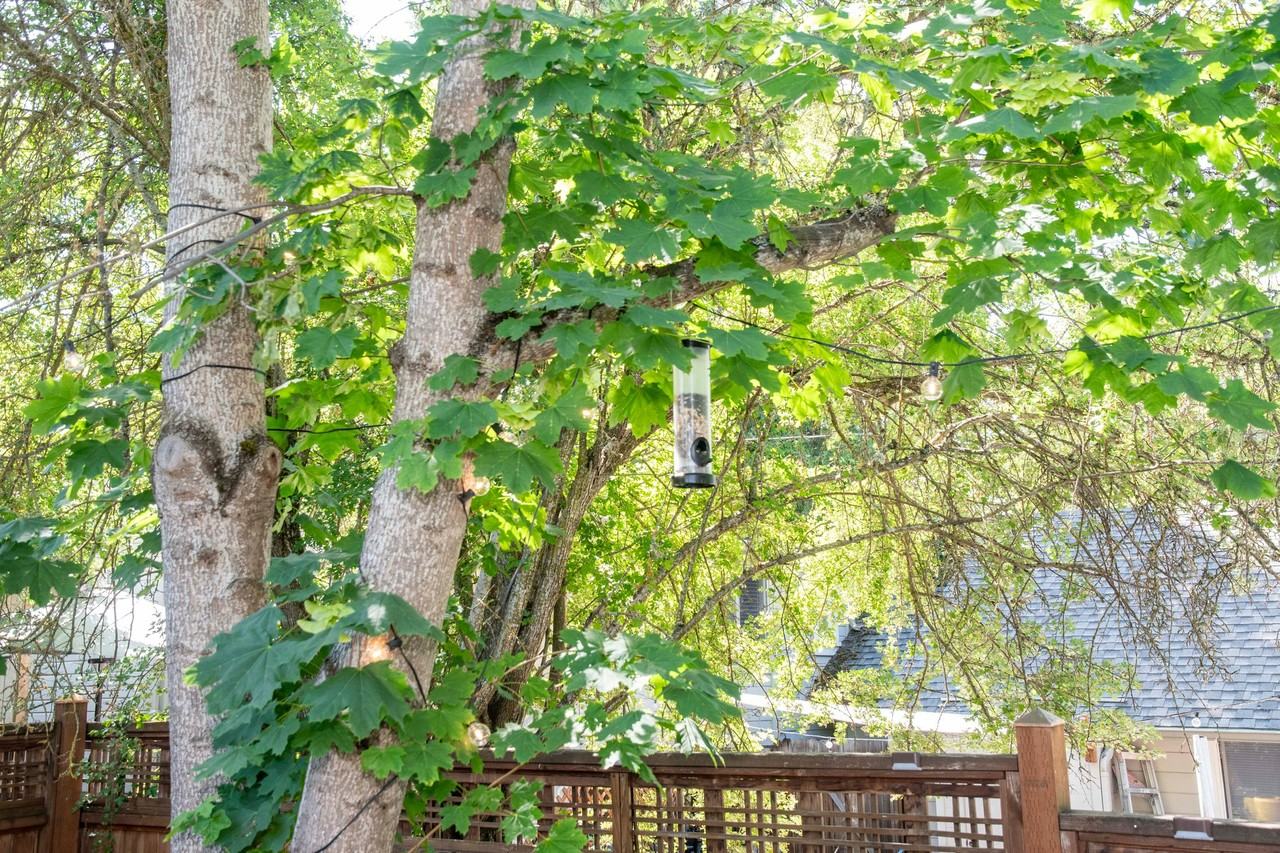 673 Siskiyou Blvd - Photo 4 of 23