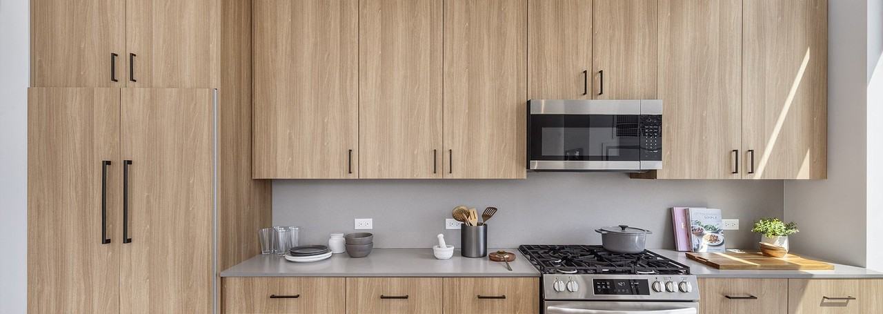 1707 S Michigan Ave - Photo 4 of 17