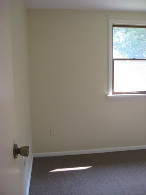 56 1/2 Salina St - Photo 4 of 9