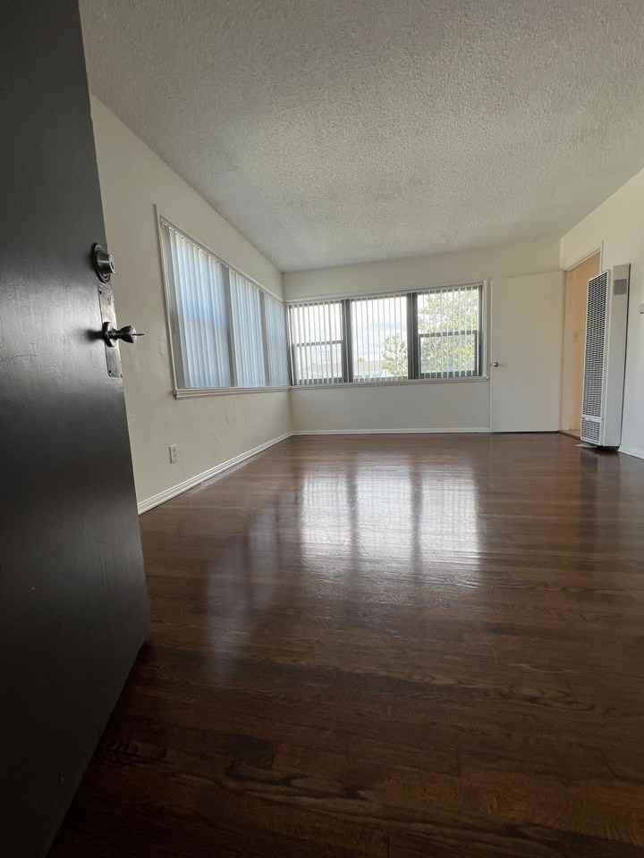 722 E Carson St #4 - Photo 4 of 12