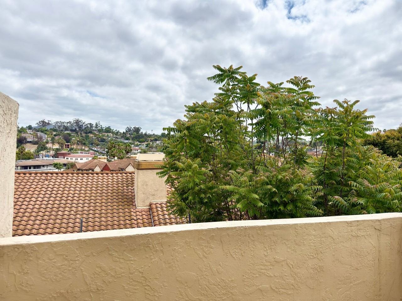 372 Pala Vista Dr - Photo 5 of 15