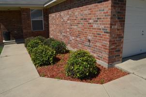 featured image of 938 Rosewood Dr