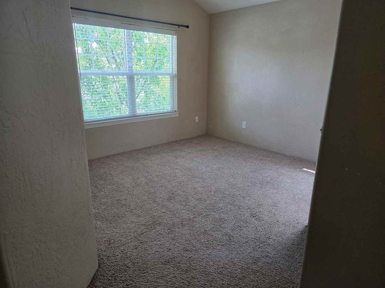 233 Wintersage Cir - Photo 6 of 17