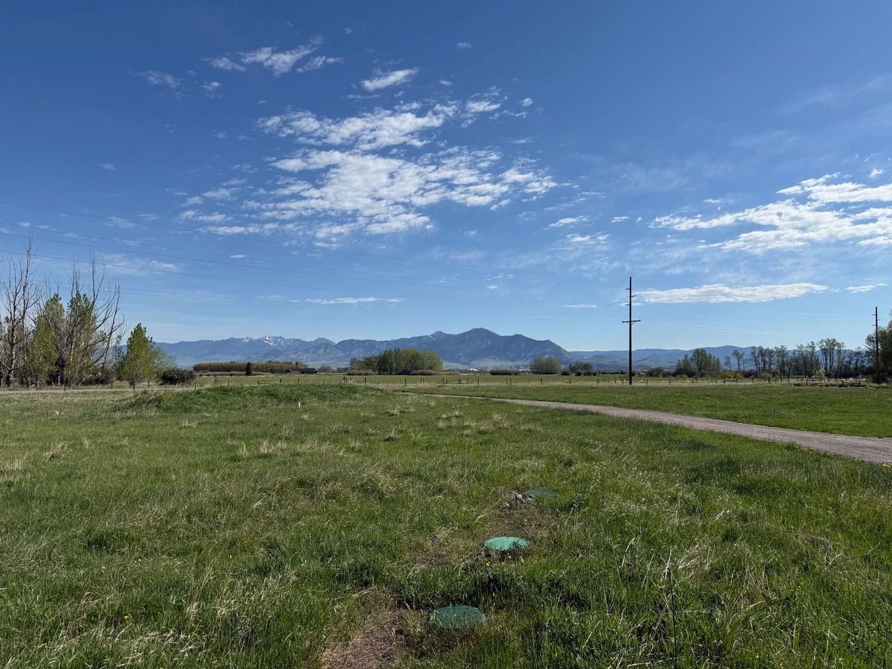 5200 Patterson Rd - Photo 2 of 19
