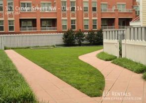 343 Cedar St Nw #314 - Photo 1 of 1