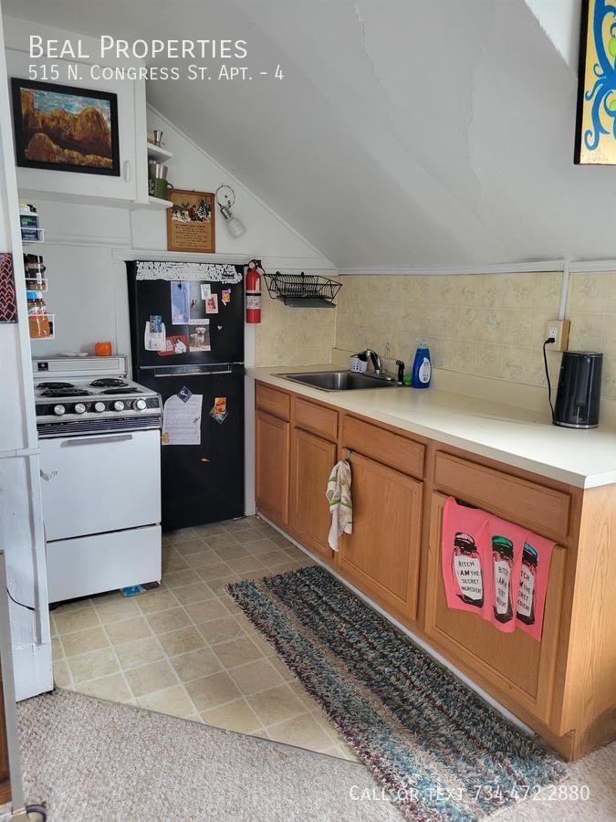 515 N Congress St #4 - Photo 5 of 6