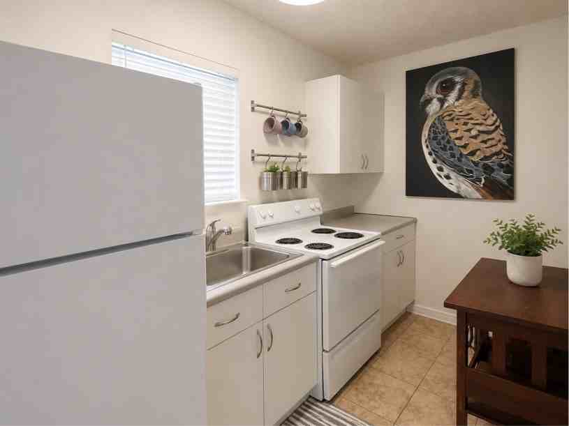 509 509 Live Oak StreetUnit 1 #1 - Photo 5 of 8