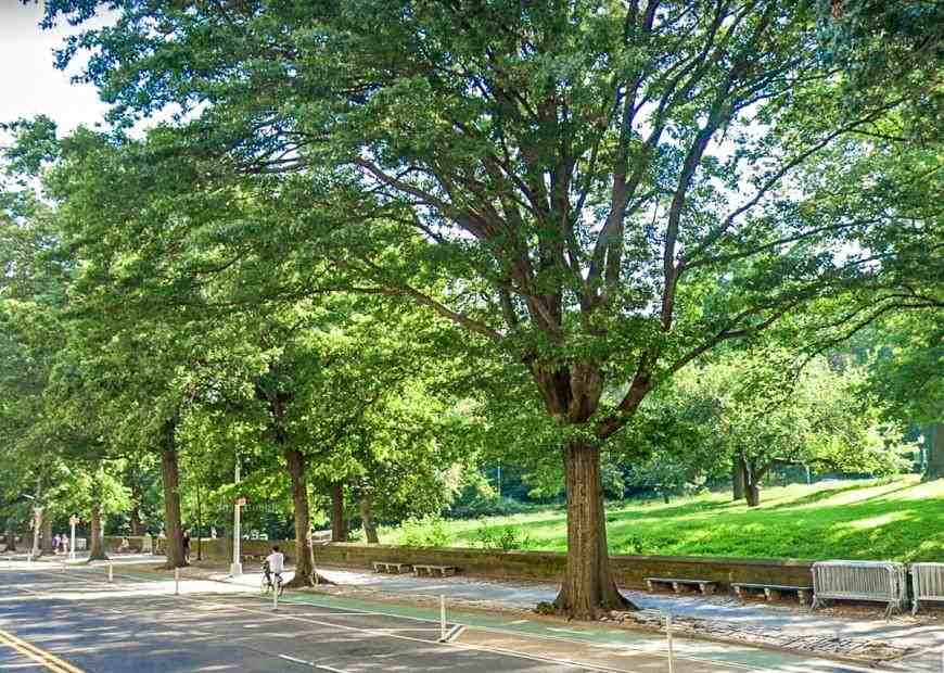 473 Central Park W - Photo 5 of 10