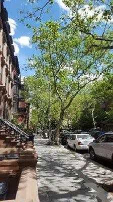 147 Amity St