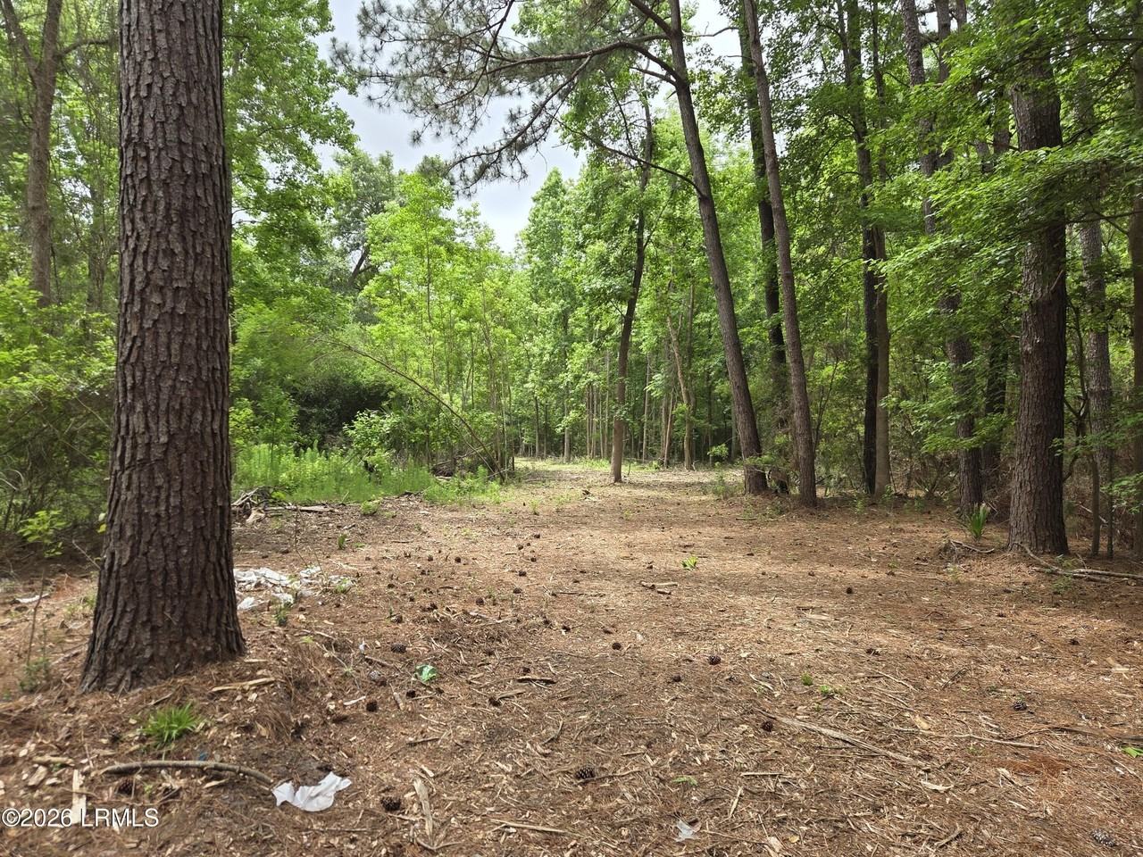 12 J W Ln - Photo 3 of 8