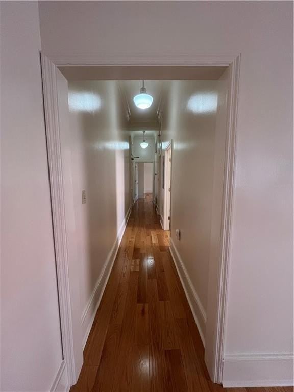 237 Dauphine St - Photo 7 of 19