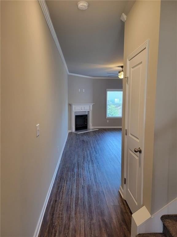 5205 Fox Den Rd - Photo 4 of 19