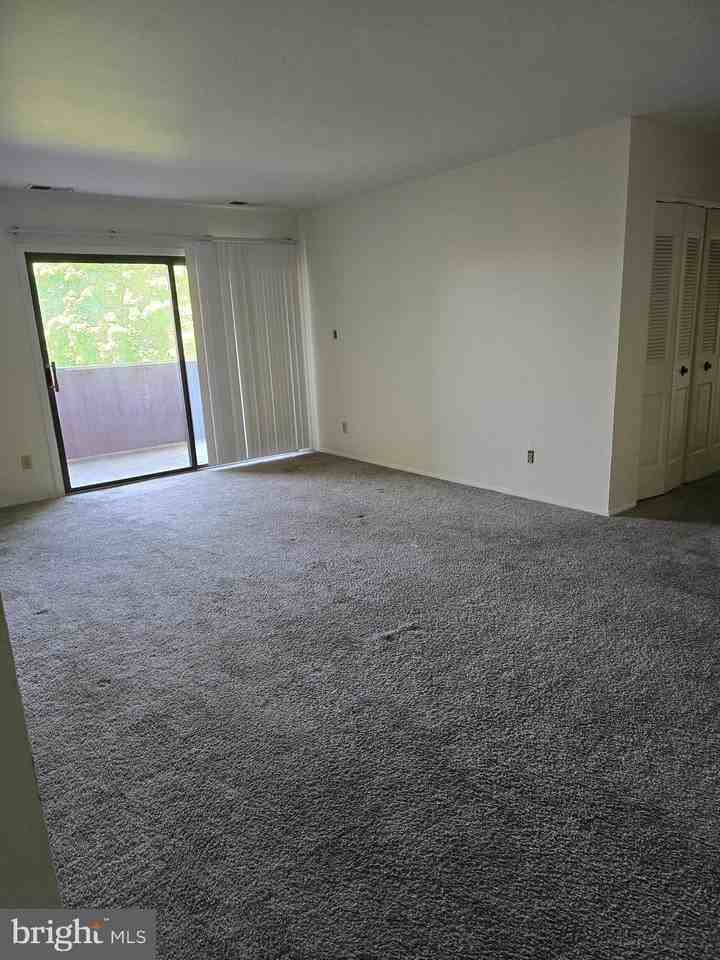 115 Charlotte Way #303 - Photo 4 of 21