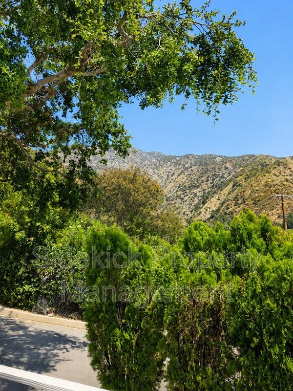 730 Orange Dr - Photo 6 of 43