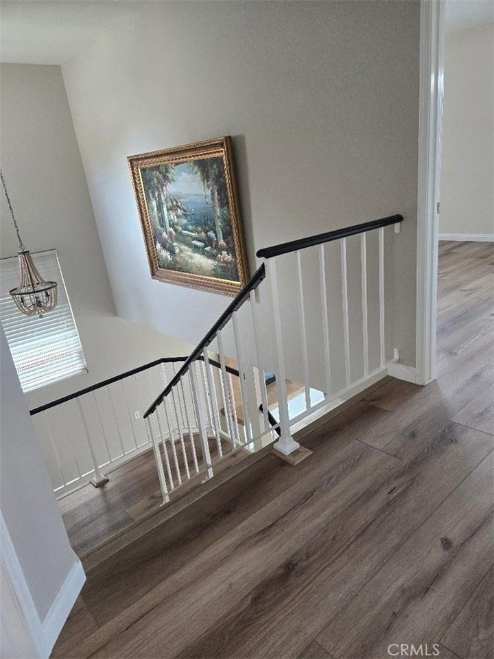 25142 Sanoria St - Photo 6 of 9