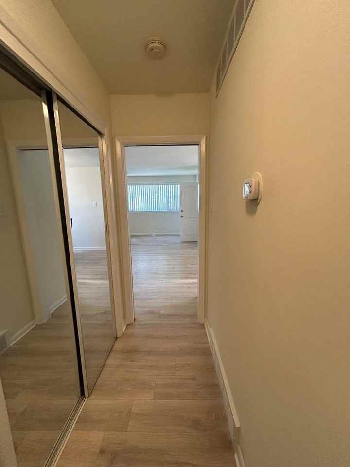 523 Donna Cir - Photo 7 of 19