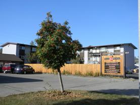 2810 W Northern Lights Blvd #1 - Photo 1 of 1