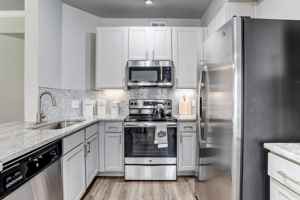featured image of South Loop W #MF1
