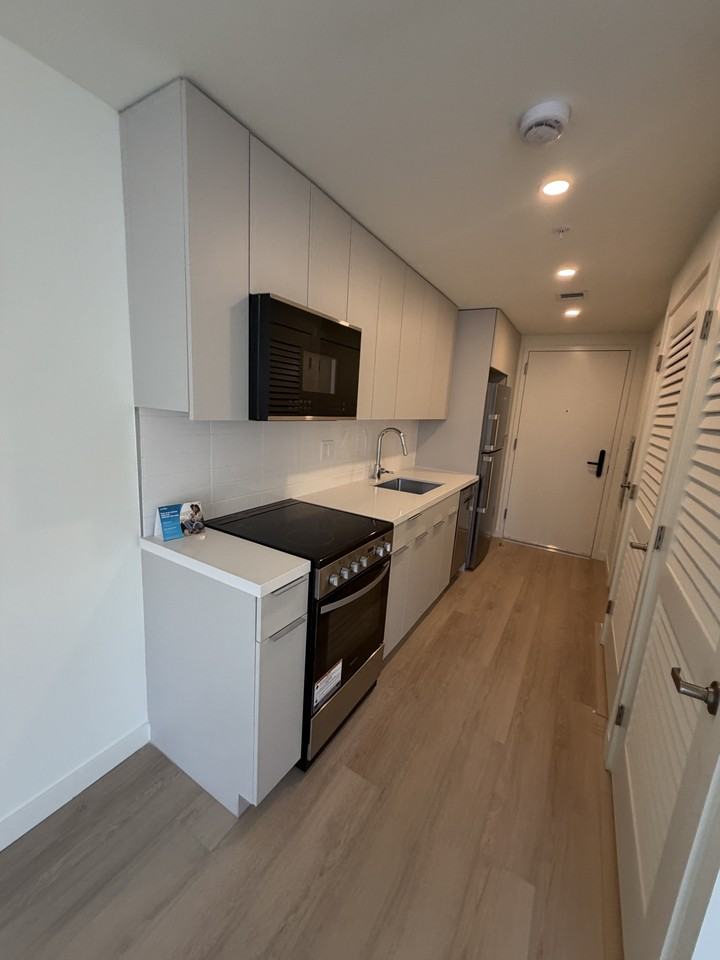 529 Northeast 1st Avenue #S5 - Photo 6 of 32