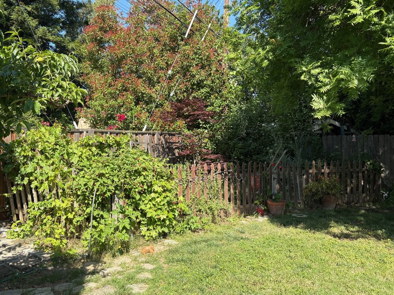 6048 Holstein Way - Photo 7 of 19