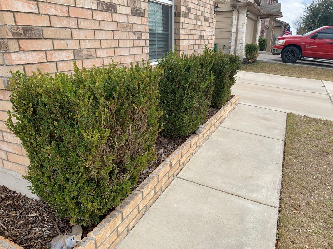 13228 Forest Sage St - Photo 2 of 15