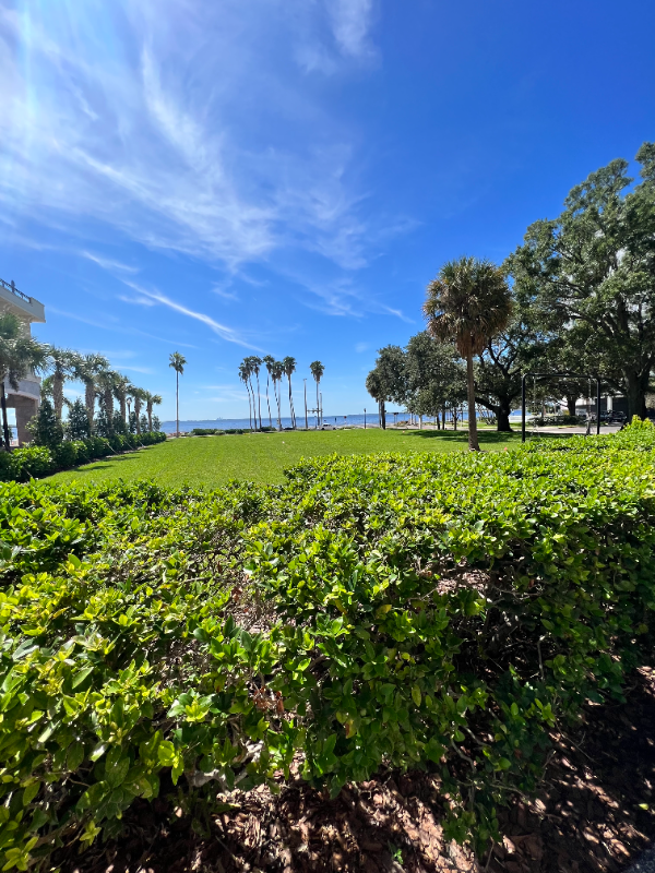 2109 Bayshore Blvd #506 - Photo 5 of 22