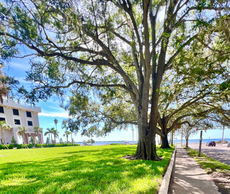 2109 Bayshore Blvd #506 - Photo 6 of 22