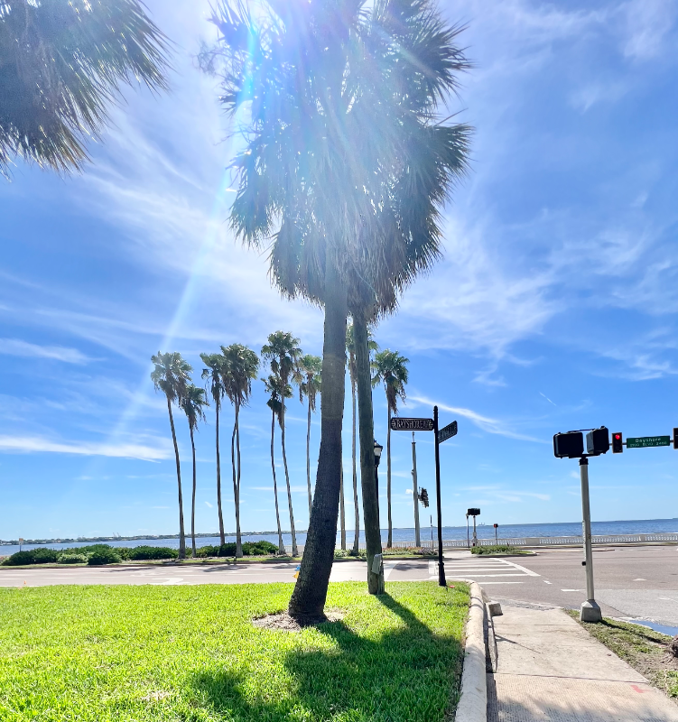 2109 Bayshore Blvd #506 - Photo 7 of 22