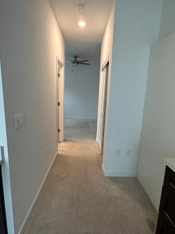 2812 Rabbit Hollow Dr - Photo 6 of 7