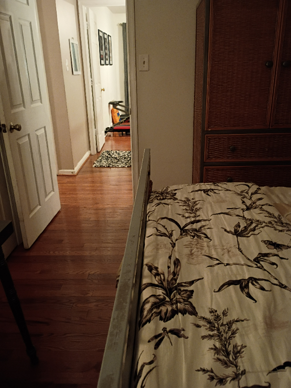 10990 Stella Ct - Photo 5 of 12