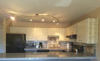 1163 Staight Creek Drive #202 - Photo 1 of 1