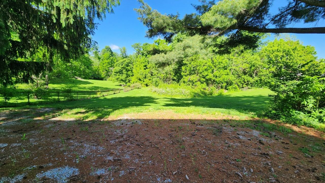 7771 Cheviot Rd - Photo 4 of 19