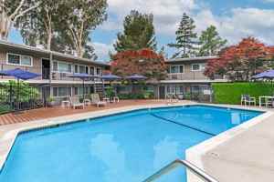 featured image of 3366 Mt Diablo Blvd