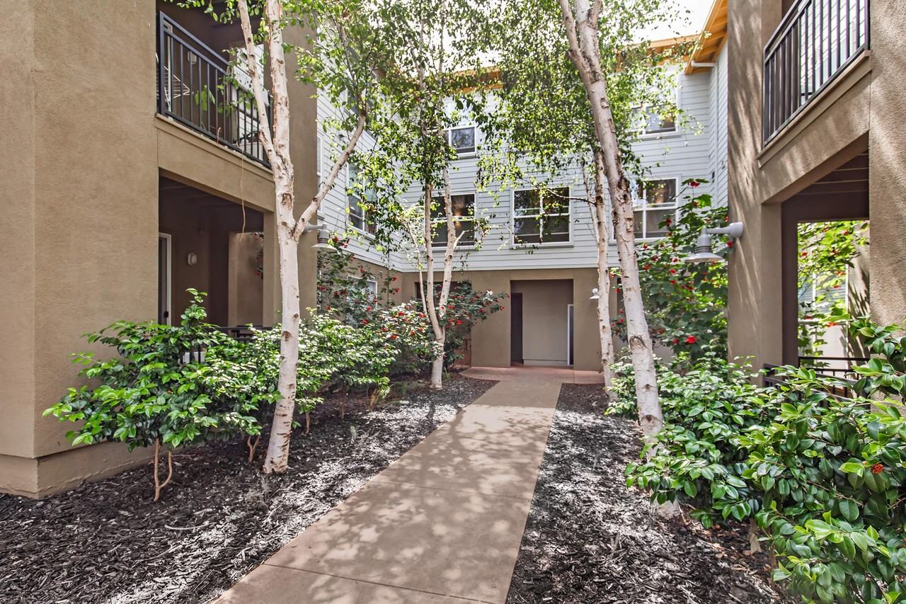 The Village at Town Center - Photo 3 of 50
