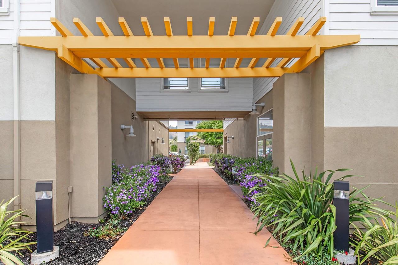The Village at Town Center - Photo 4 of 50