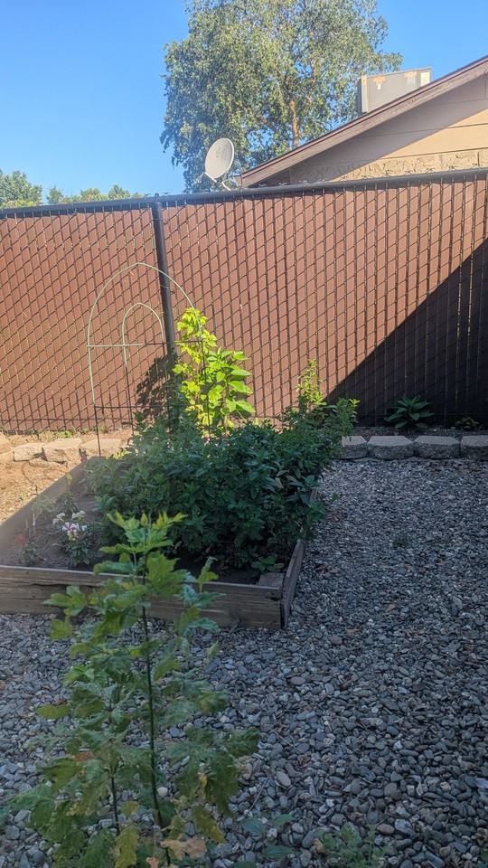 186 E Shasta Ave #1B - Photo 7 of 7