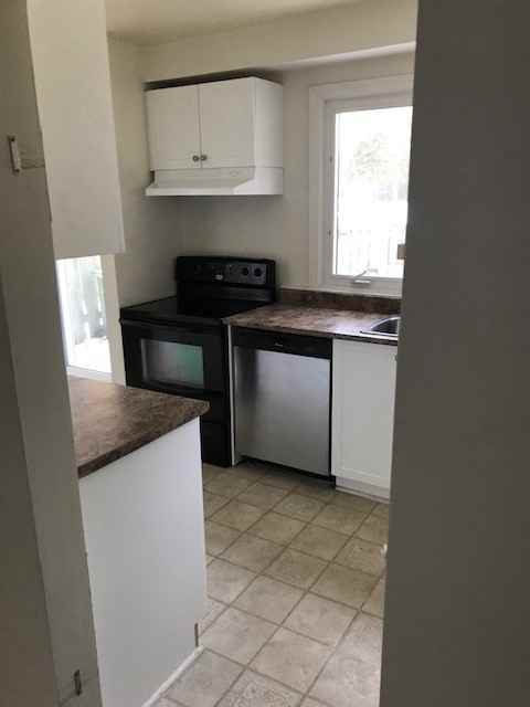 71 Baneberry - Photo 3 of 8